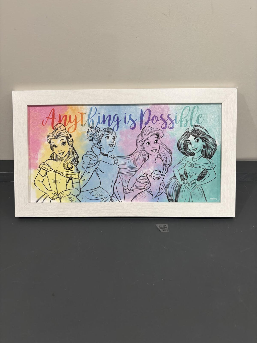 Disney Princess "Anything is Possible" Framed Wall Art Print