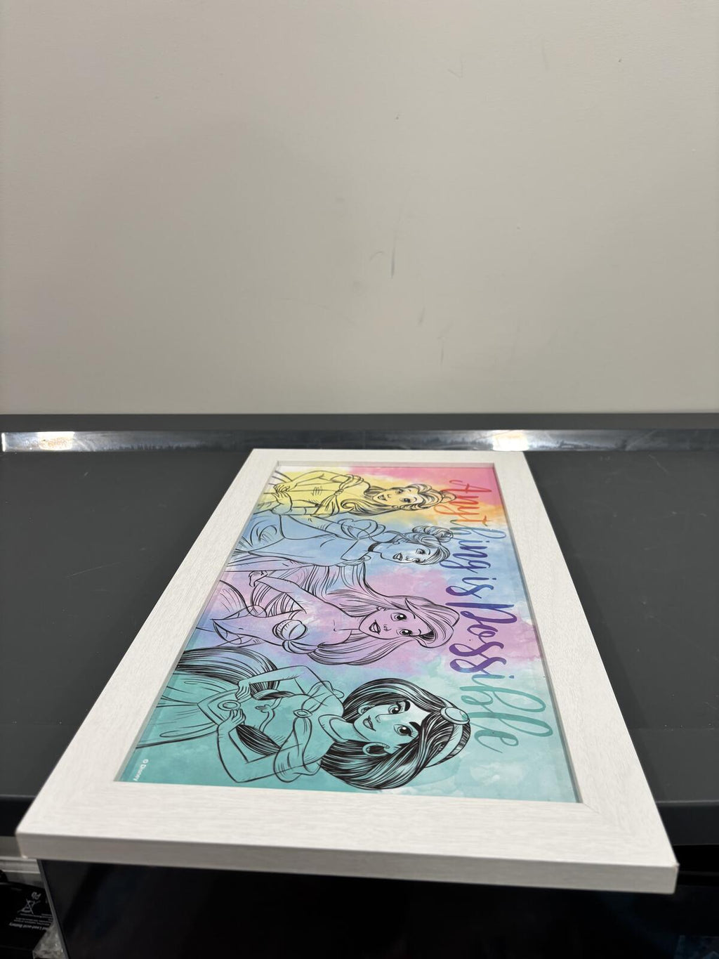 Disney Princess "Anything is Possible" Framed Wall Art Print