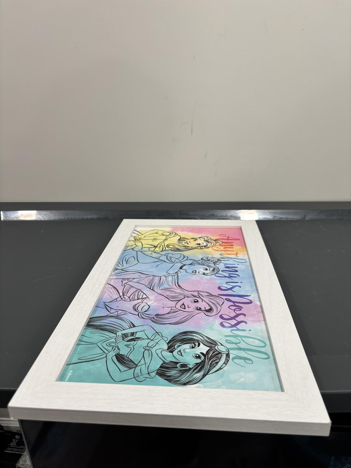 Disney Princess "Anything is Possible" Framed Wall Art Print