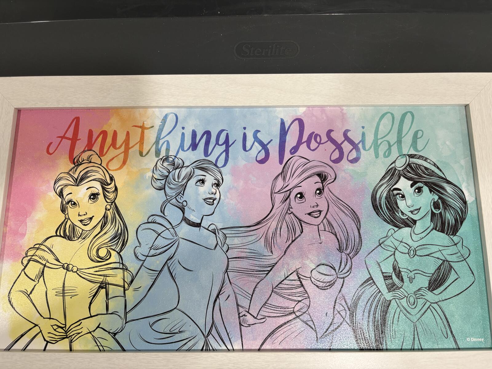Disney Princess "Anything is Possible" Framed Wall Art Print