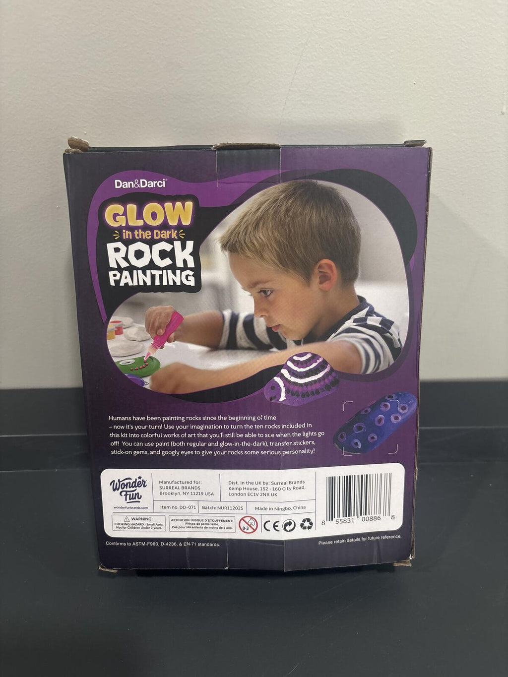 Glow in the Dark Rock Painting Complete Craft Kit