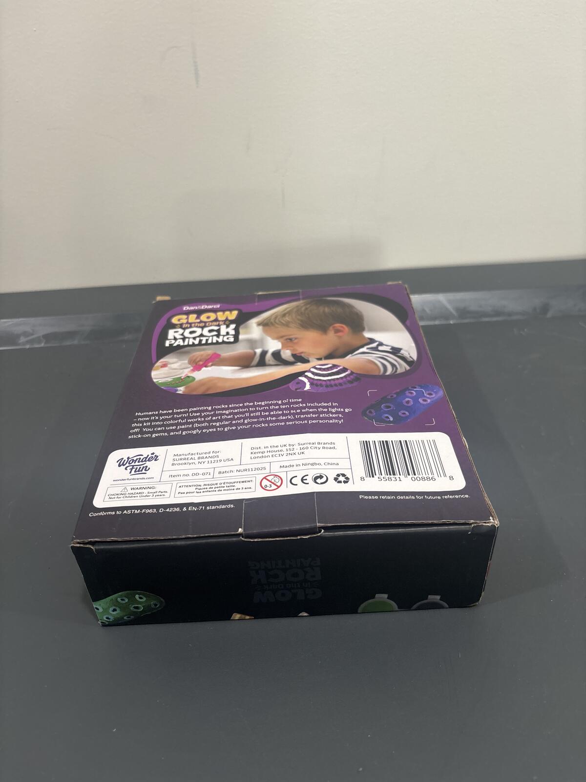 Glow in the Dark Rock Painting Complete Craft Kit
